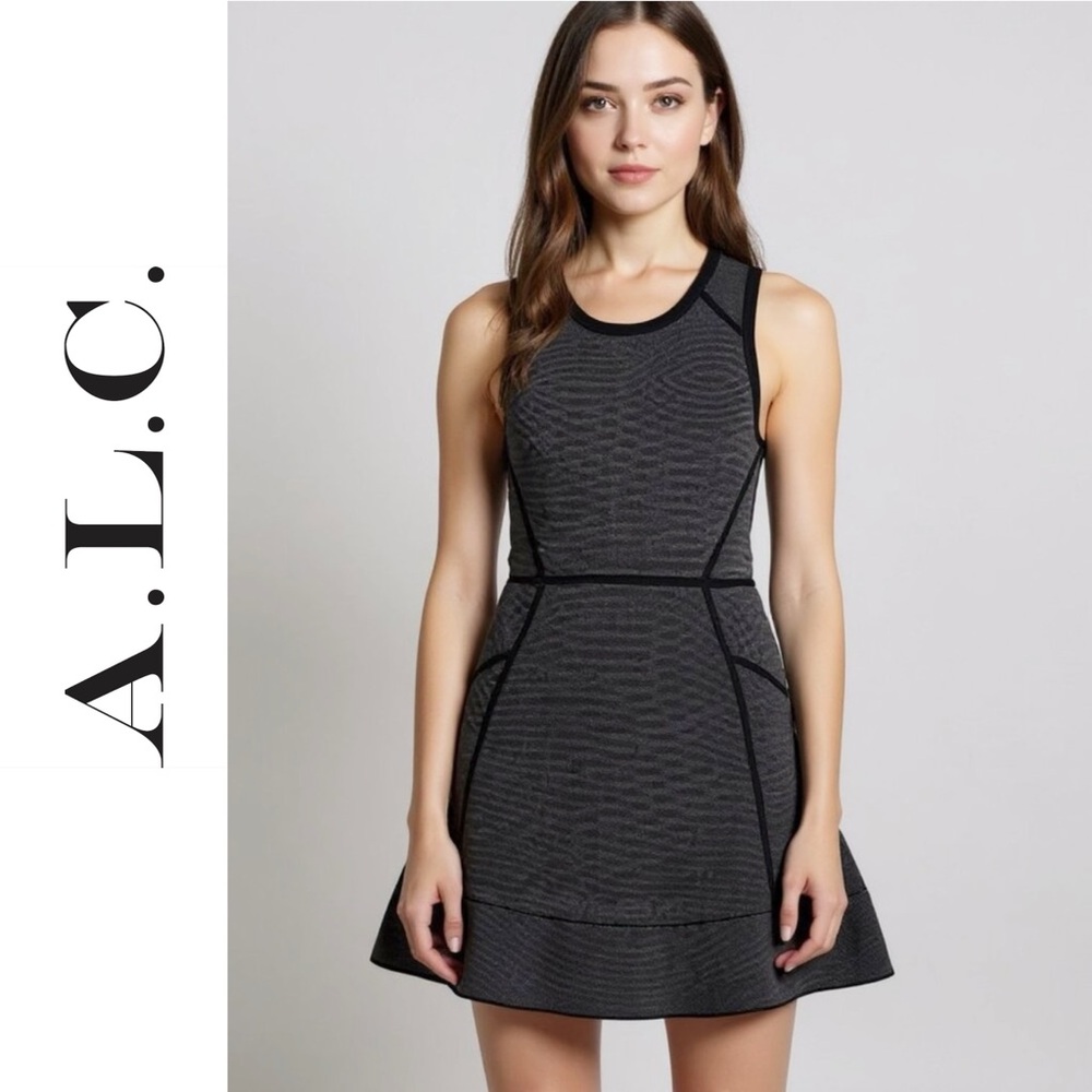 A.L.C. Sleeveless Fit and Flare Tiny Hearts Sweater Skater Mini Dress Size XS